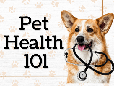 Pet Health 101